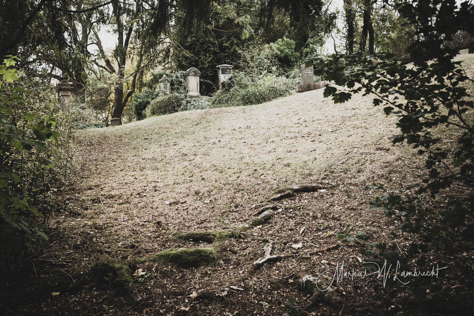 Rimbeck, Jüdischer Friedhof